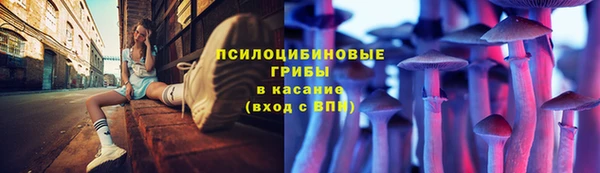 индика Сосновка