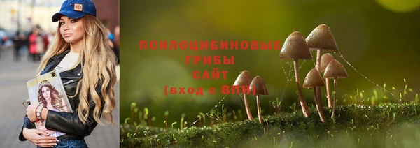 прущие крисы Белоозёрский