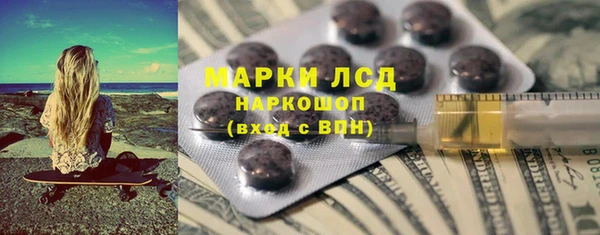 индика Сосновка