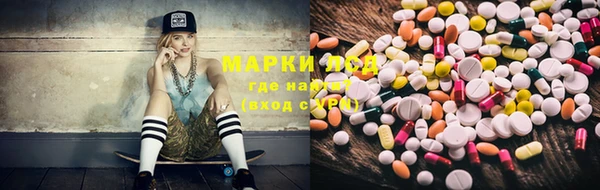 индика Сосновка